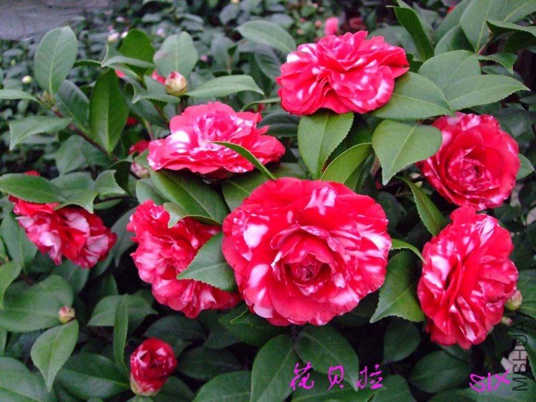 ������ 10-2-26 (2).jpg