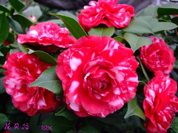 ������ 10-2-26(1).jpg