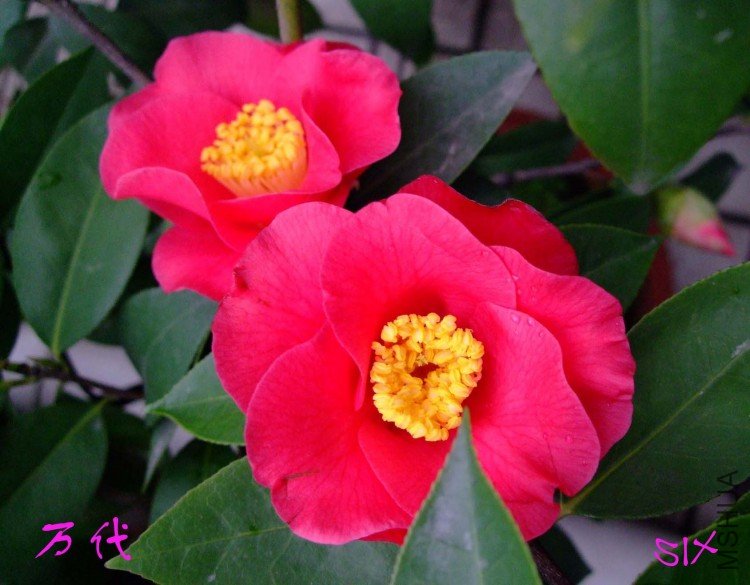 ���  10-2-26(1).jpg