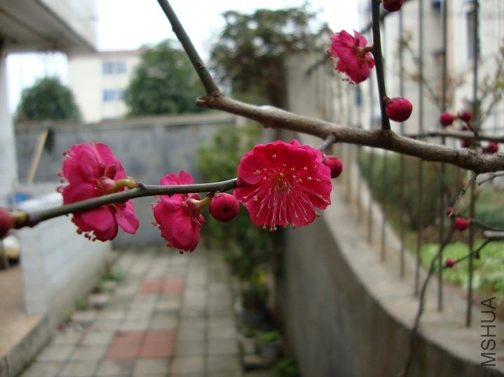 DSC00201.JPG