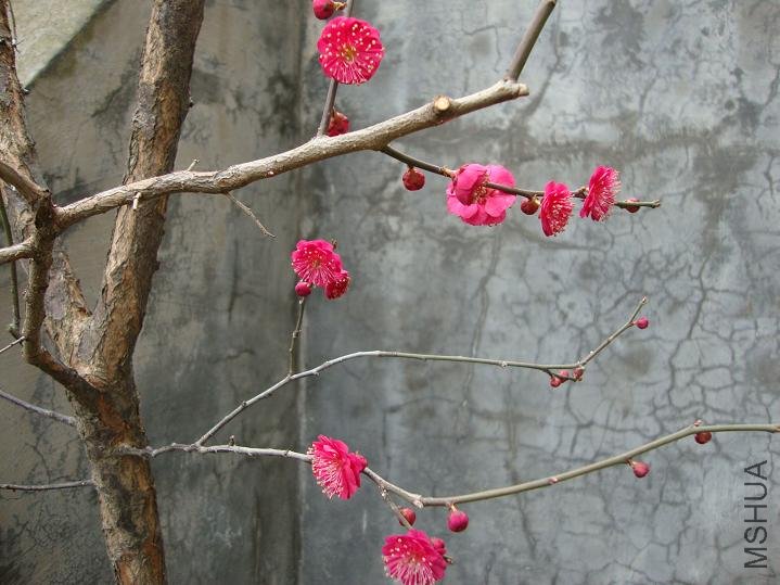 DSC00200.JPG