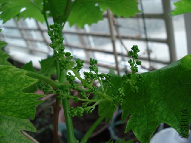DSC04432.JPG