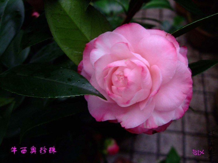 ţ��������10-2-27 (2).jpg