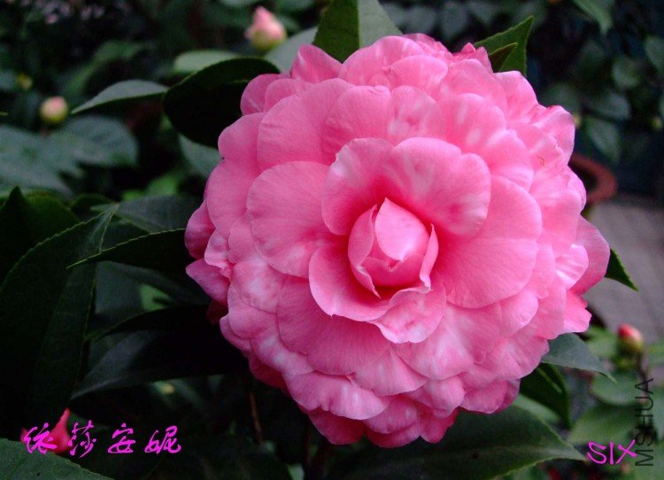 ��ɯ���� 10-2-27(1).jpg