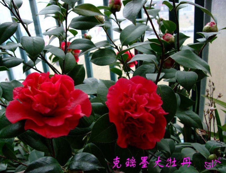 ����ī��ĵ�� 10-2-27(1).jpg