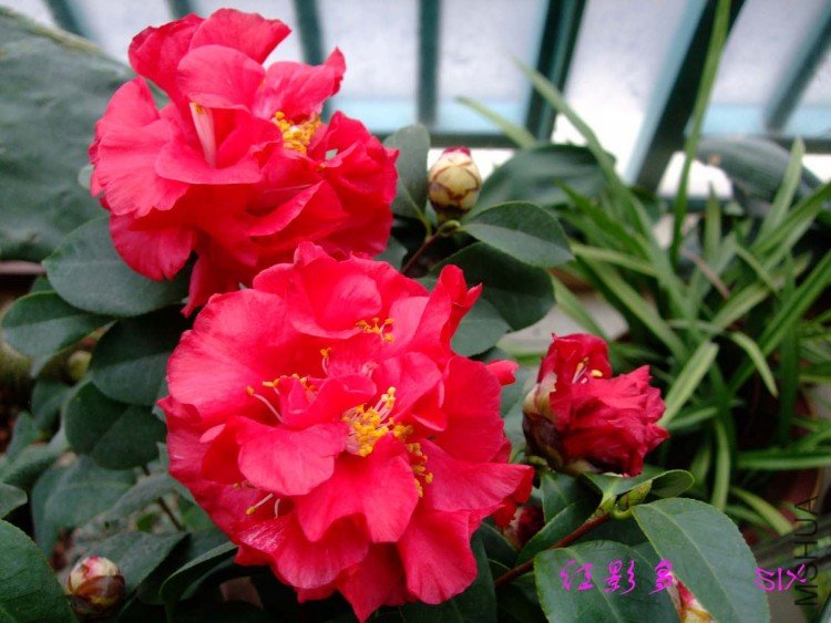 ��Ӱ�� 10-2-27(1).jpg