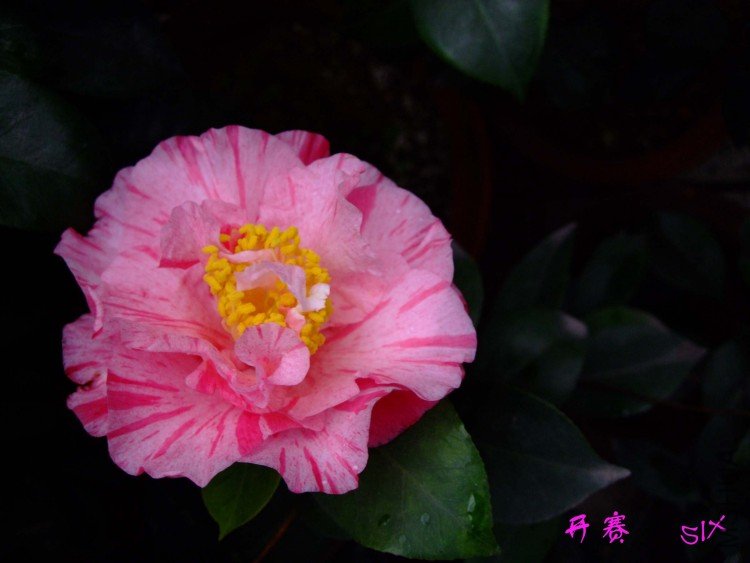 ���� 10-2-27(1).jpg