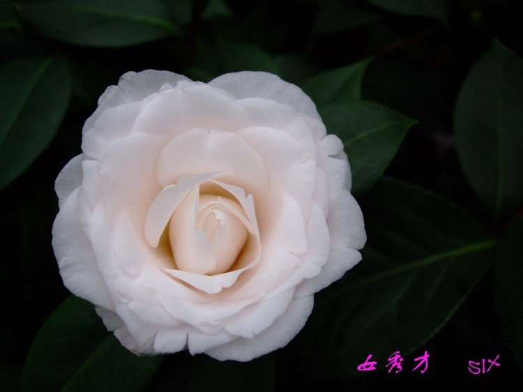 ޢ��  10-2-27(1).jpg