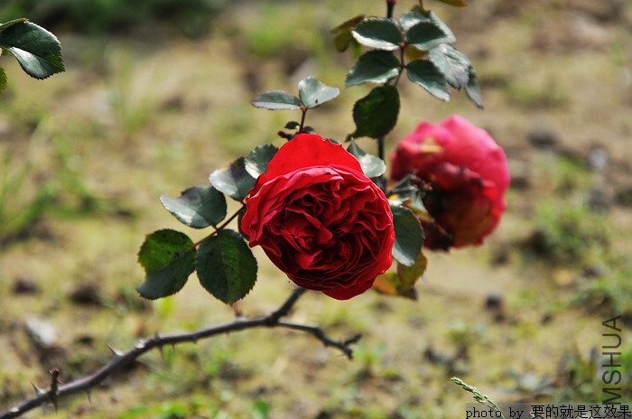 nEO_IMG_DSC_0708.jpg