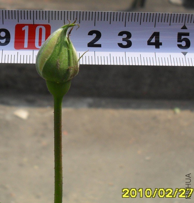 2��27��