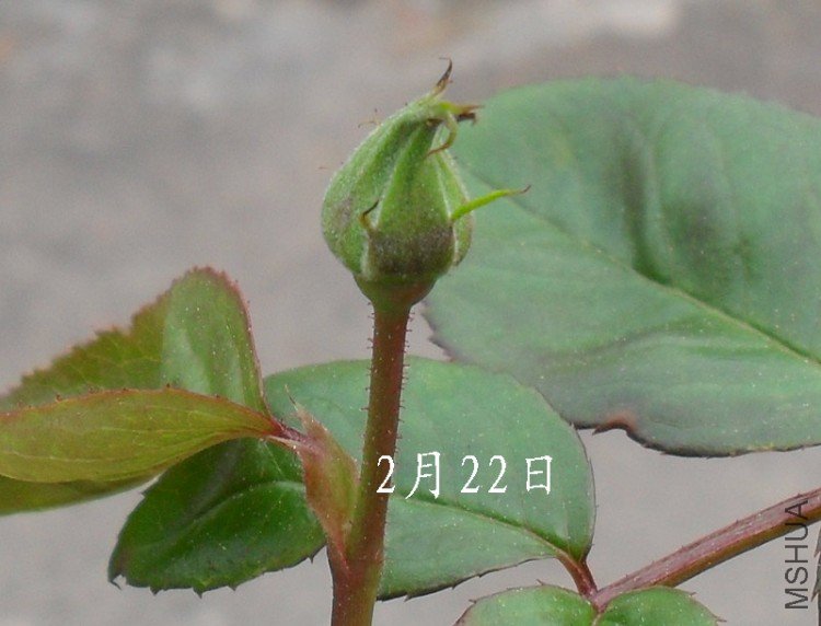 2��22��