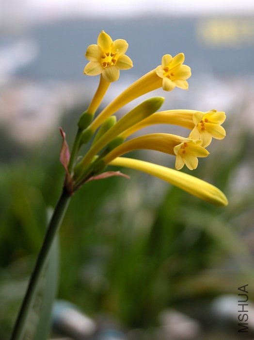 DSCN1611.jpg