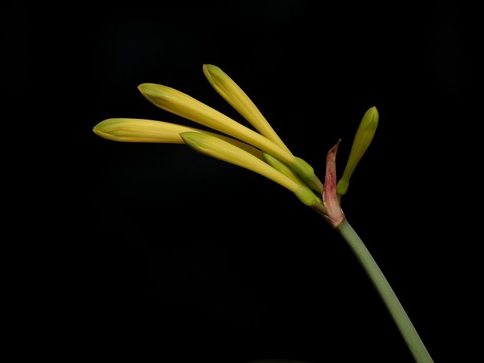 DSCN1517.jpg