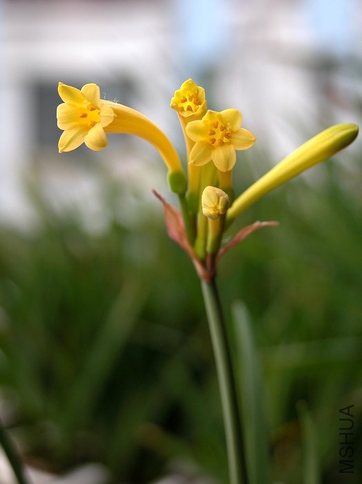 DSCN1566.jpg