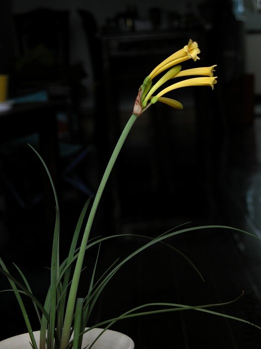 DSCN1578.jpg