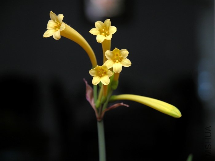 DSCN1583.jpg