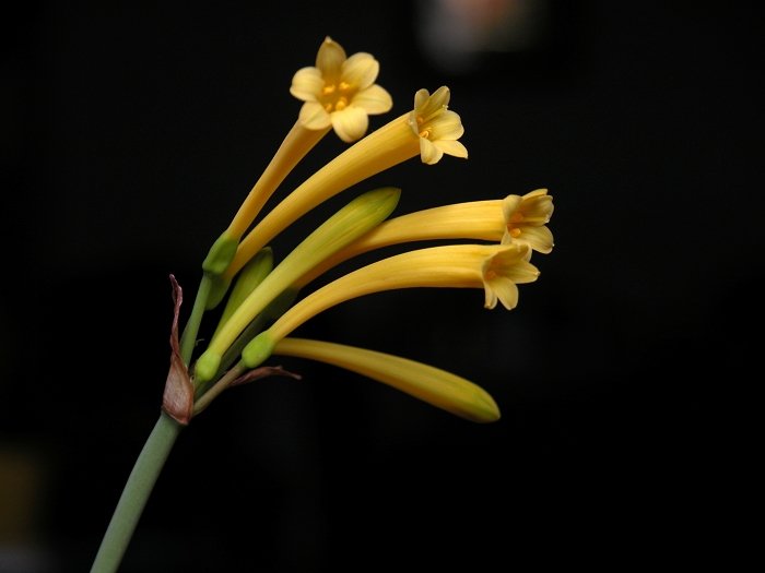 DSCN1584.jpg