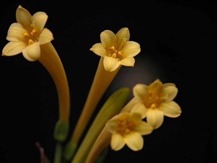 DSCN1588.jpg