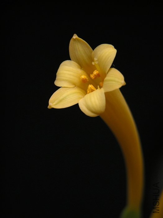 DSCN1586.jpg