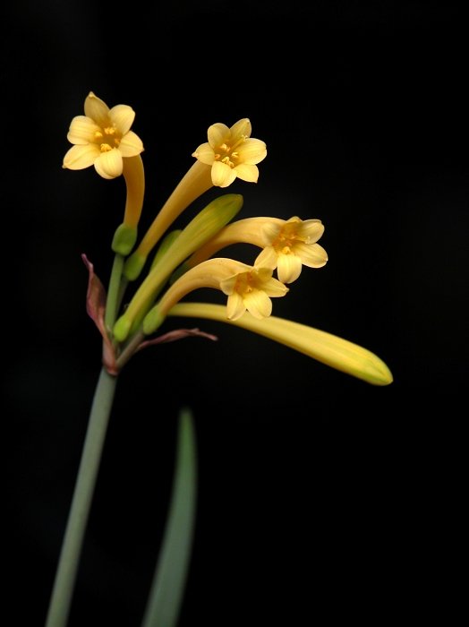 DSCN1594.jpg