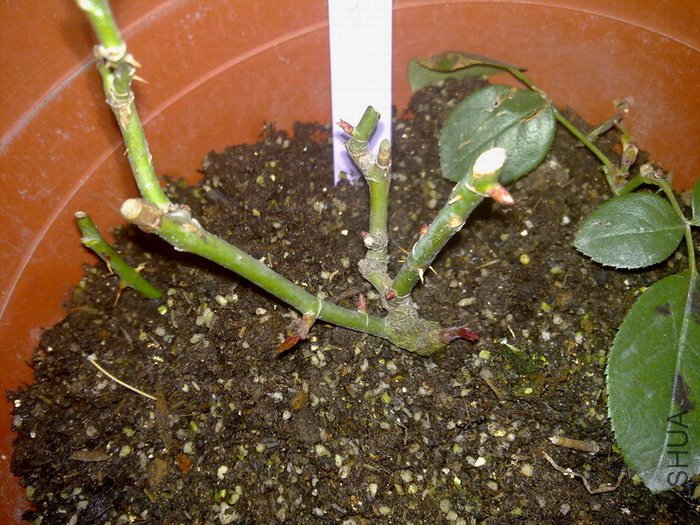 200912031234.jpg