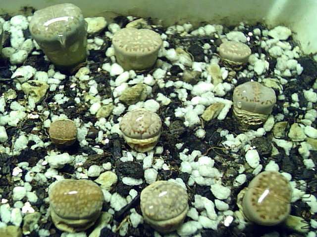 ��ϣ������� (6).jpg