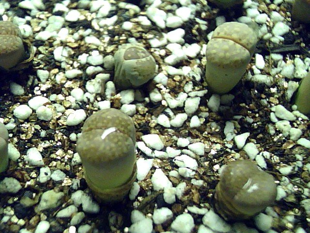 ��ϣ������� (30).jpg