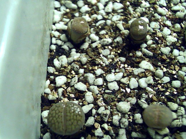 ��ϣ������� (27).jpg