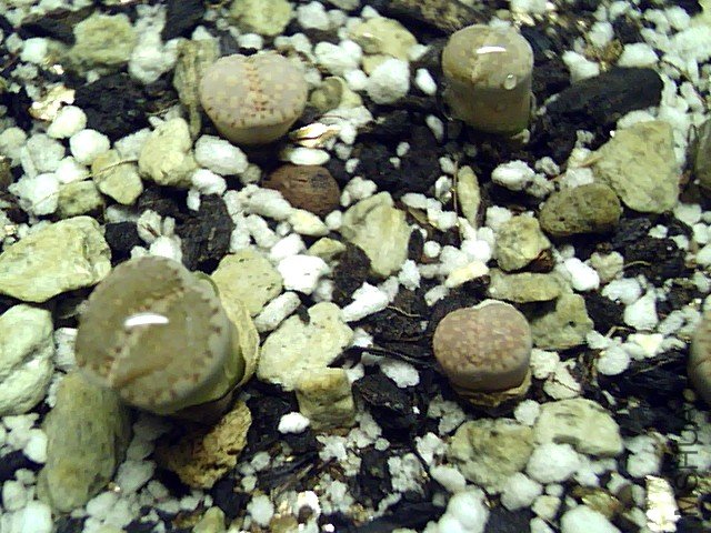 ��ϣ������� (49).jpg