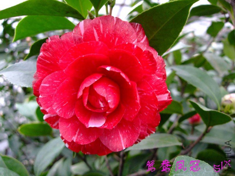 ԧ���� 10-2-28(1).jpg