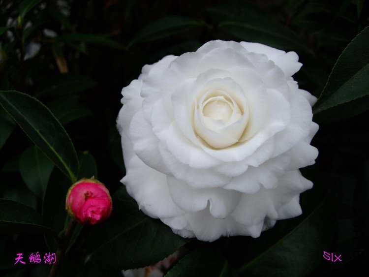 ���� 10-2-28(1).jpg