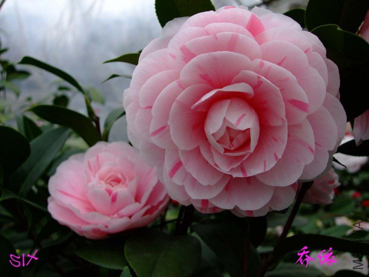 ����10-2-28 (3).jpg