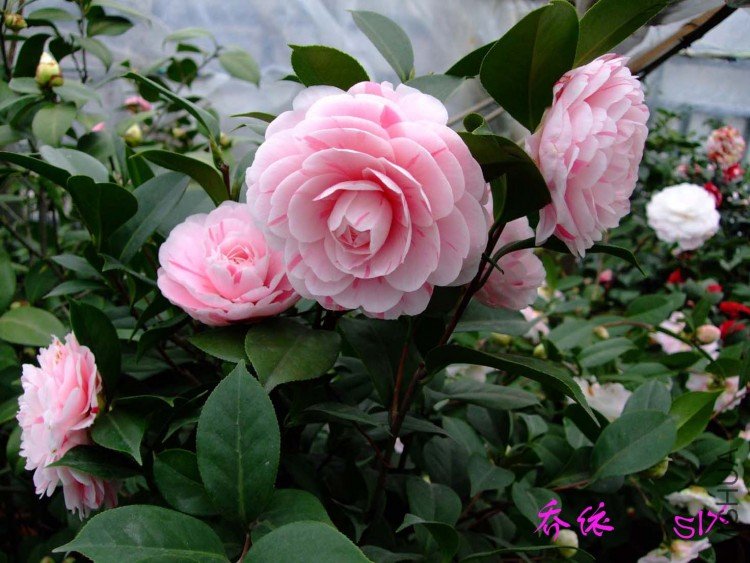 ����10-2-28 (2).jpg