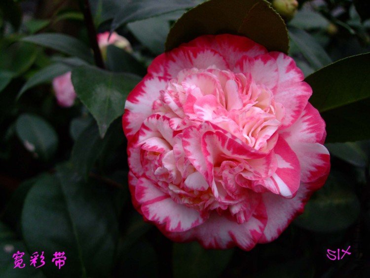 ���ʴ� 10-2-28 (2).jpg