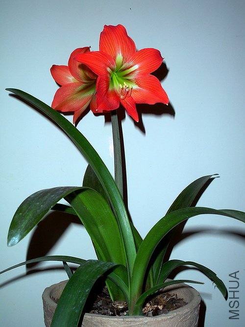 ��Ƭ 2312(500).jpg