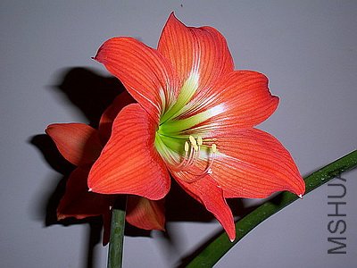 ��Ƭ 2297(400).jpg