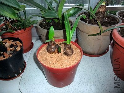 2010-2-19, ����������