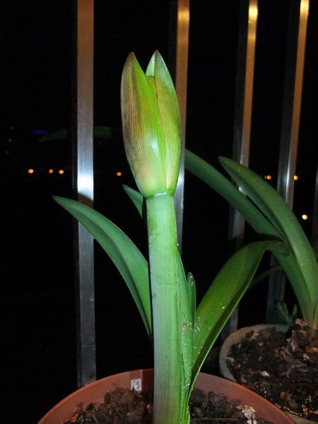 2010-2-28