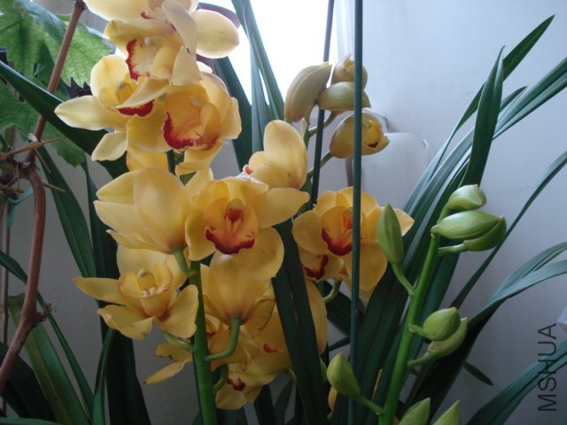 DSC04440.JPG
