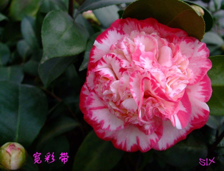 ���ʴ�  10-2-28f (1).jpg