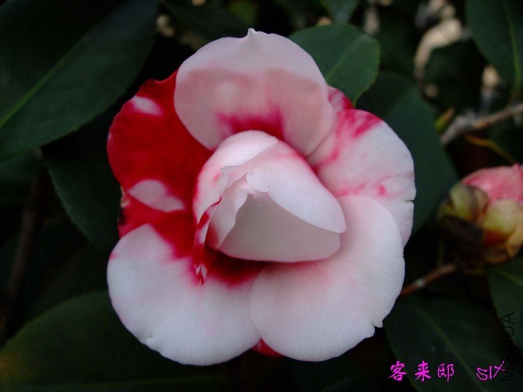 ����ۡ 10-2-28f (2).jpg