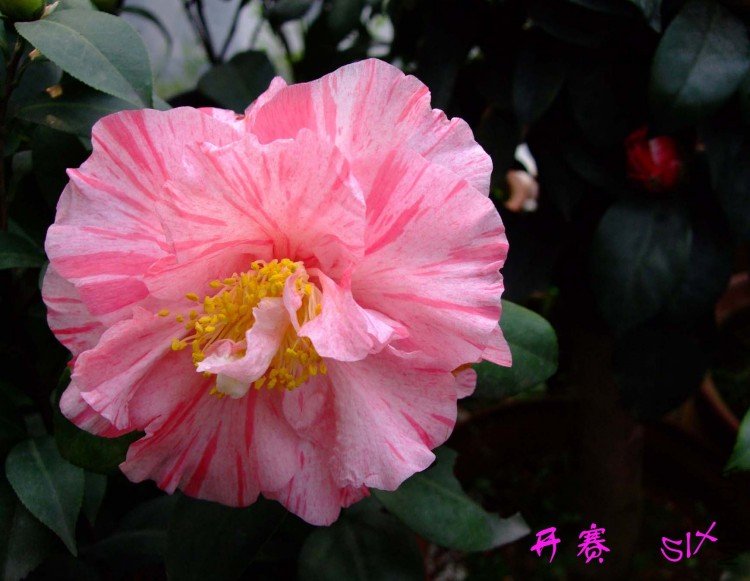 ���� 10-2-28f (1).jpg