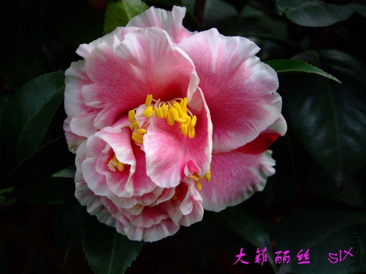 ���  10-2-28f (1).jpg