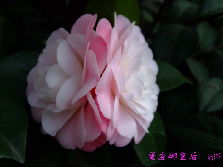 �찲�Ȼʺ� 10-2-28f (1).jpg