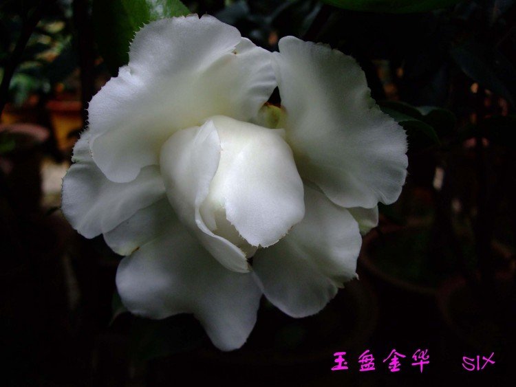 ���̽� 10-2-28f (3).jpg