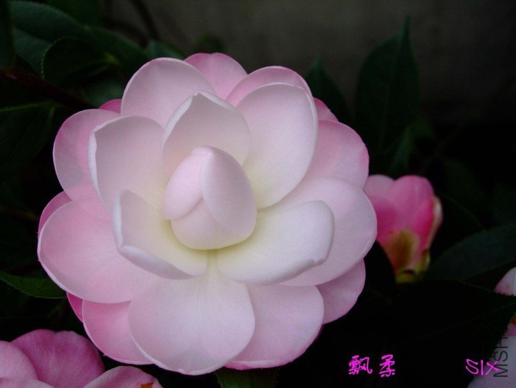 Ʈ�� 10-2-28f (3).jpg