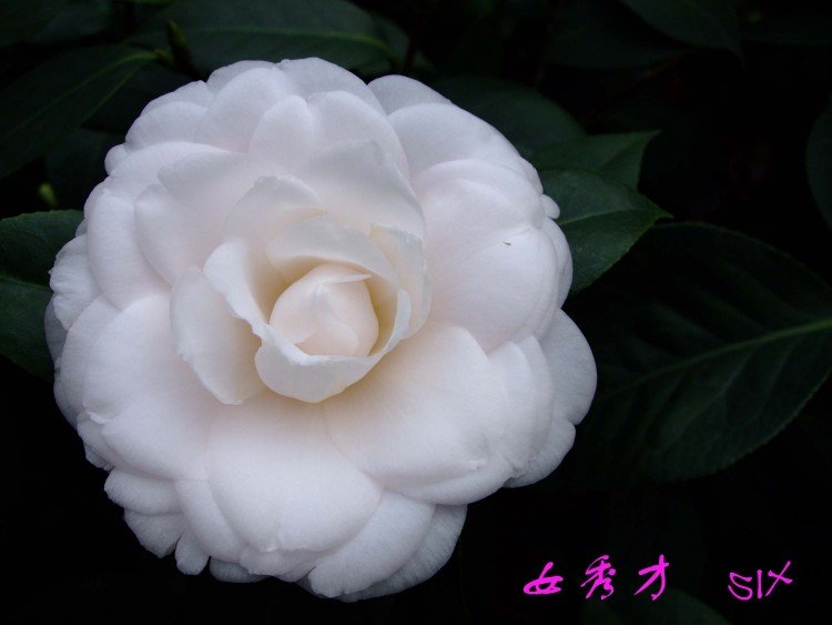 Ů��� 10-2-28f (1).jpg