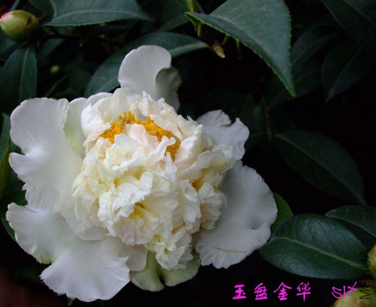 ���̽� 10-2-28f (1).jpg