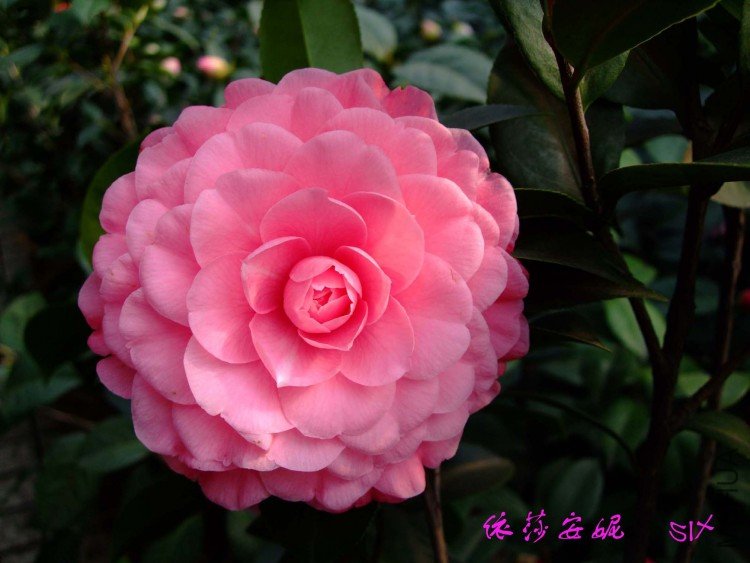 ��ɯ���� 10-2-28f (2).jpg