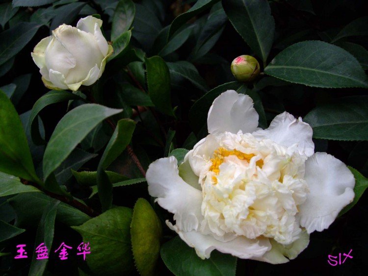 ���̽� 10-2-28f (2).jpg